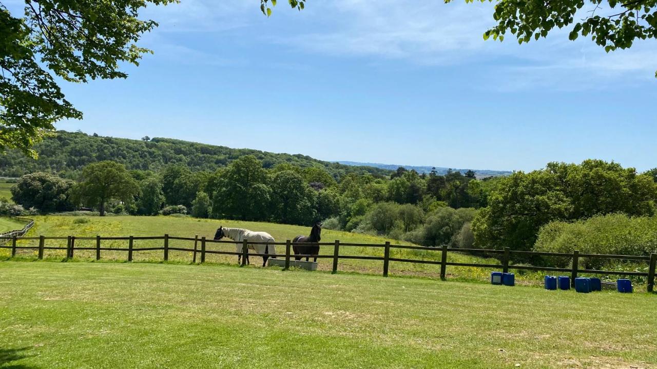Spacious Primrose Lodge For 6 With Hot Tub At A Spa Resort Chudleigh Exterior foto